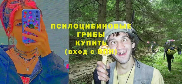 СК Арсеньев