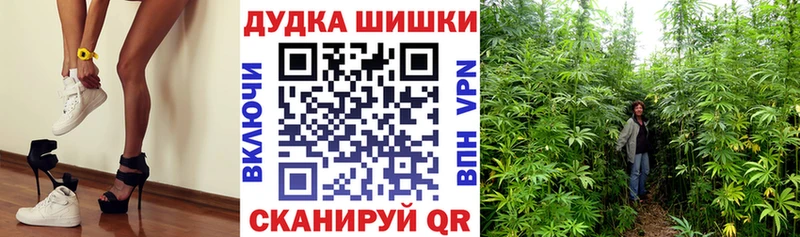 Шишки марихуана планчик  Полевской 